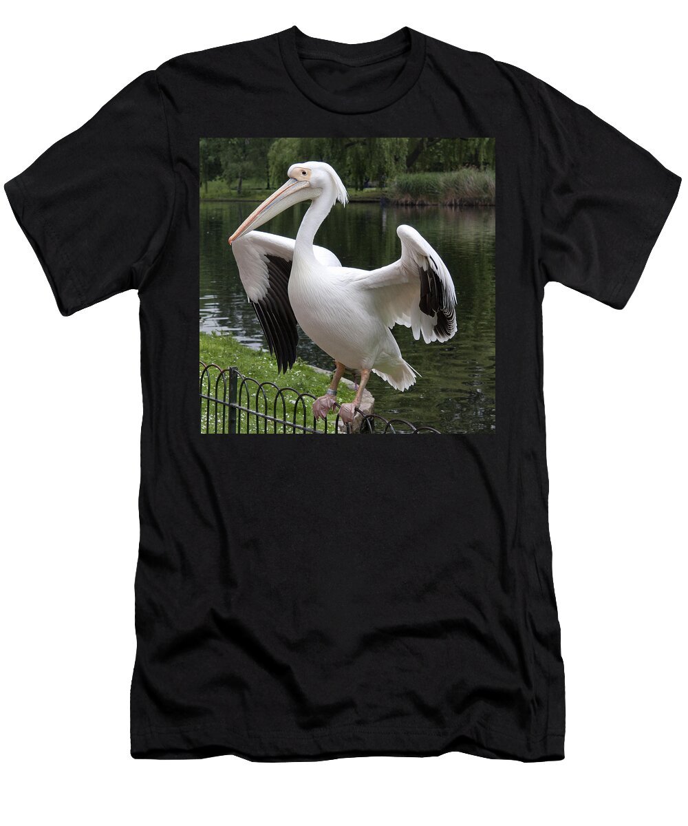 Beak T-Shirt featuring the photograph Showing off by Shirley Mitchell