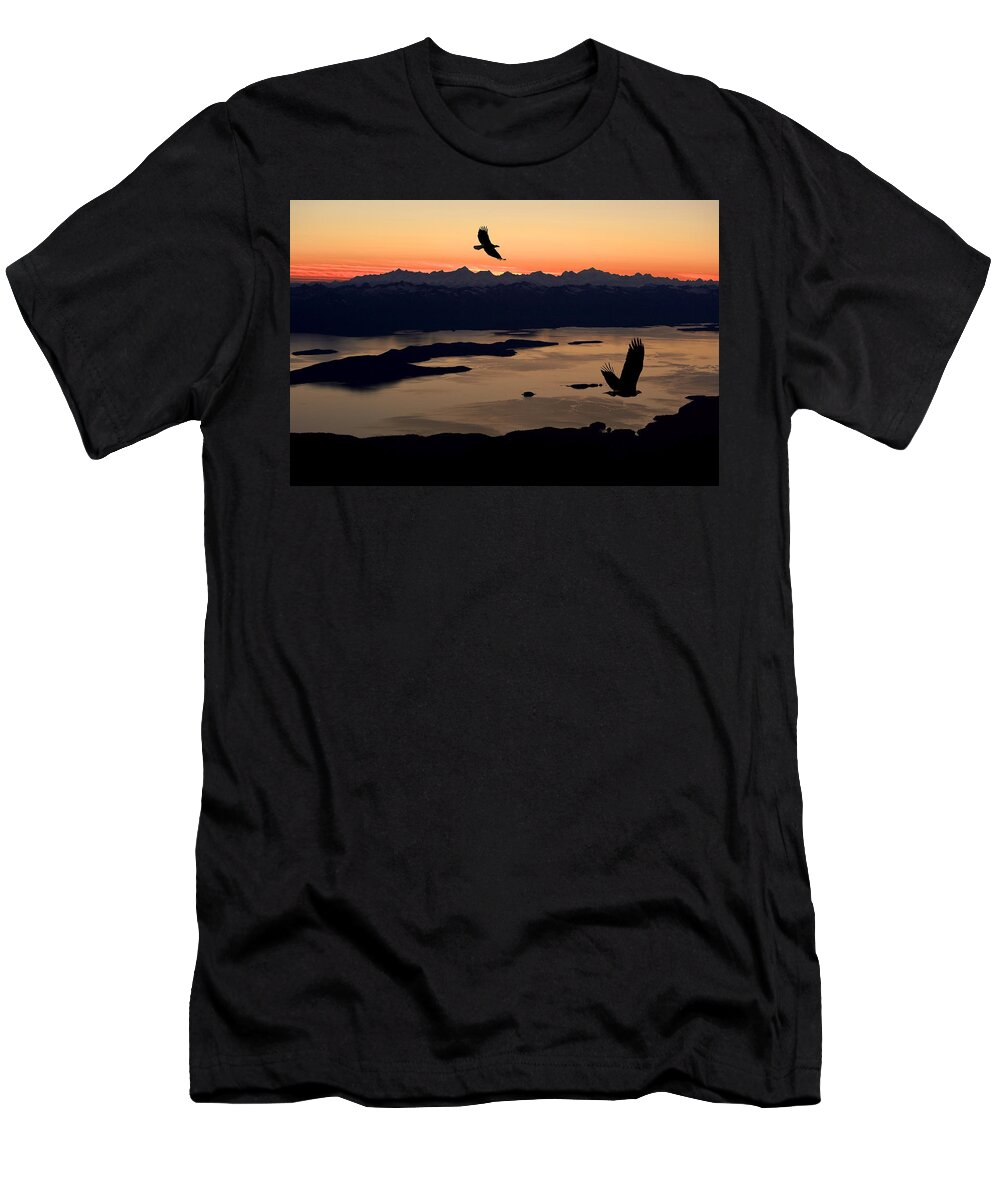 Alaska T-Shirt featuring the photograph Silhouette Of Bald Eagles In Flight At by John Hyde