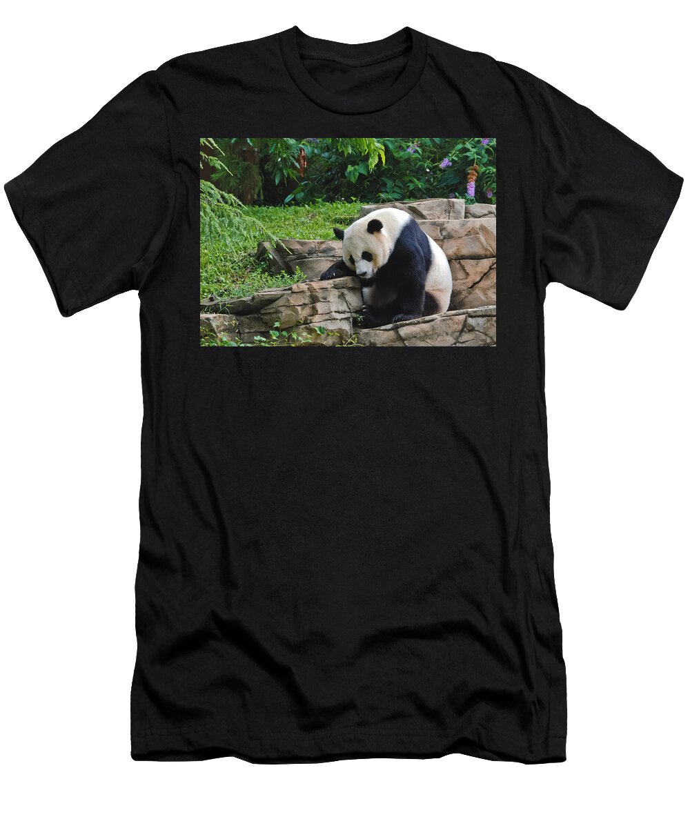 Wild Life T-Shirt featuring the photograph Sleepy Panda by Oswald George Addison