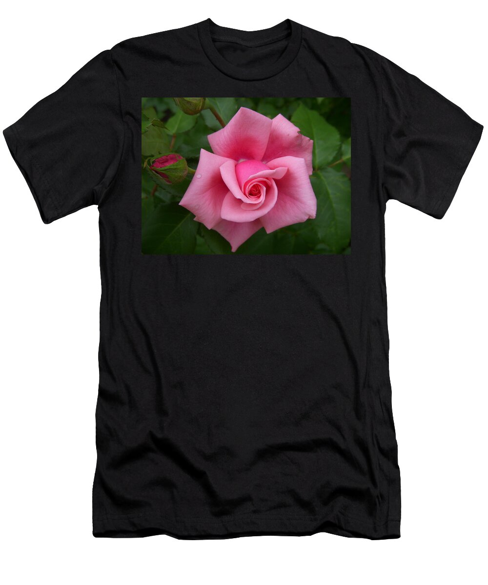Rose T-Shirt featuring the photograph Smooth As Silk by Terri Waselchuk