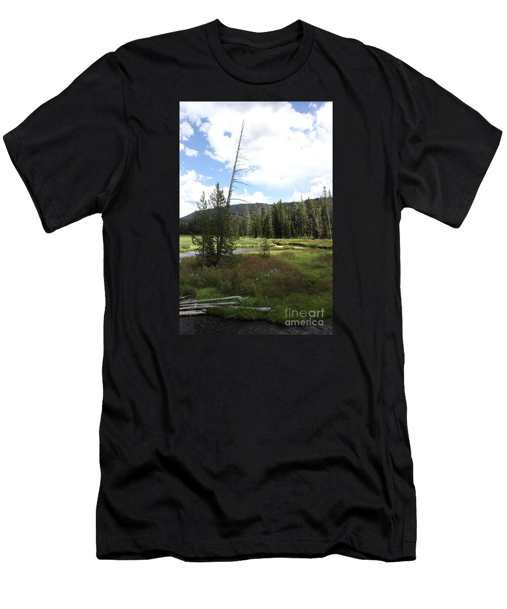 Mountains T-Shirt featuring the photograph Snake River Meadow by Christiane Schulze Art And Photography