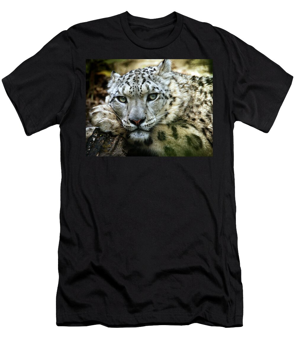 Animal T-Shirt featuring the photograph Snow Leopard by Chris Boulton