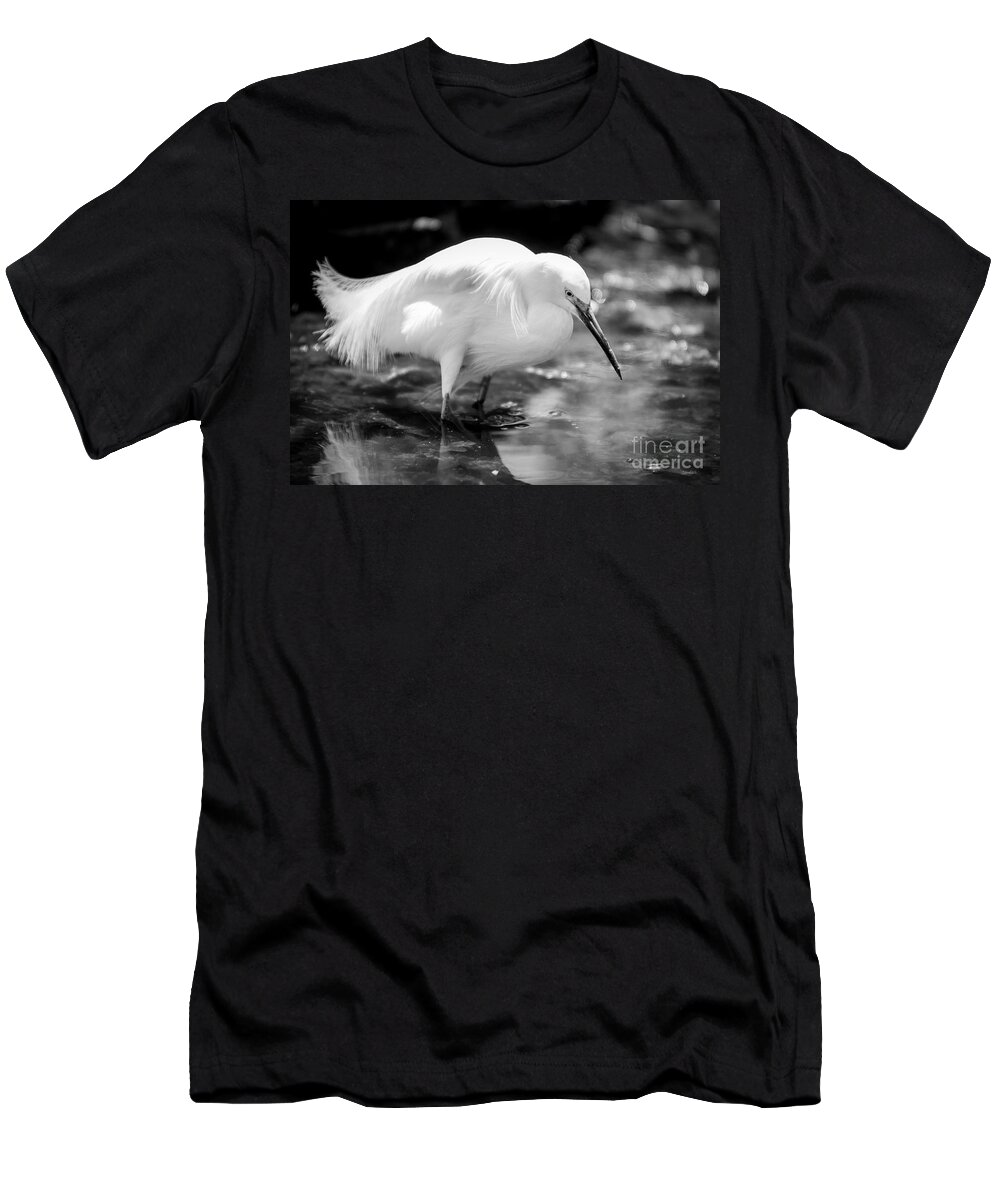 Bird T-Shirt featuring the photograph Snowy Egret by Jennifer Magallon