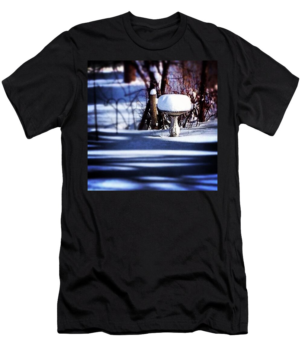 Winter T-Shirt featuring the photograph South For Winter by Frank J Casella