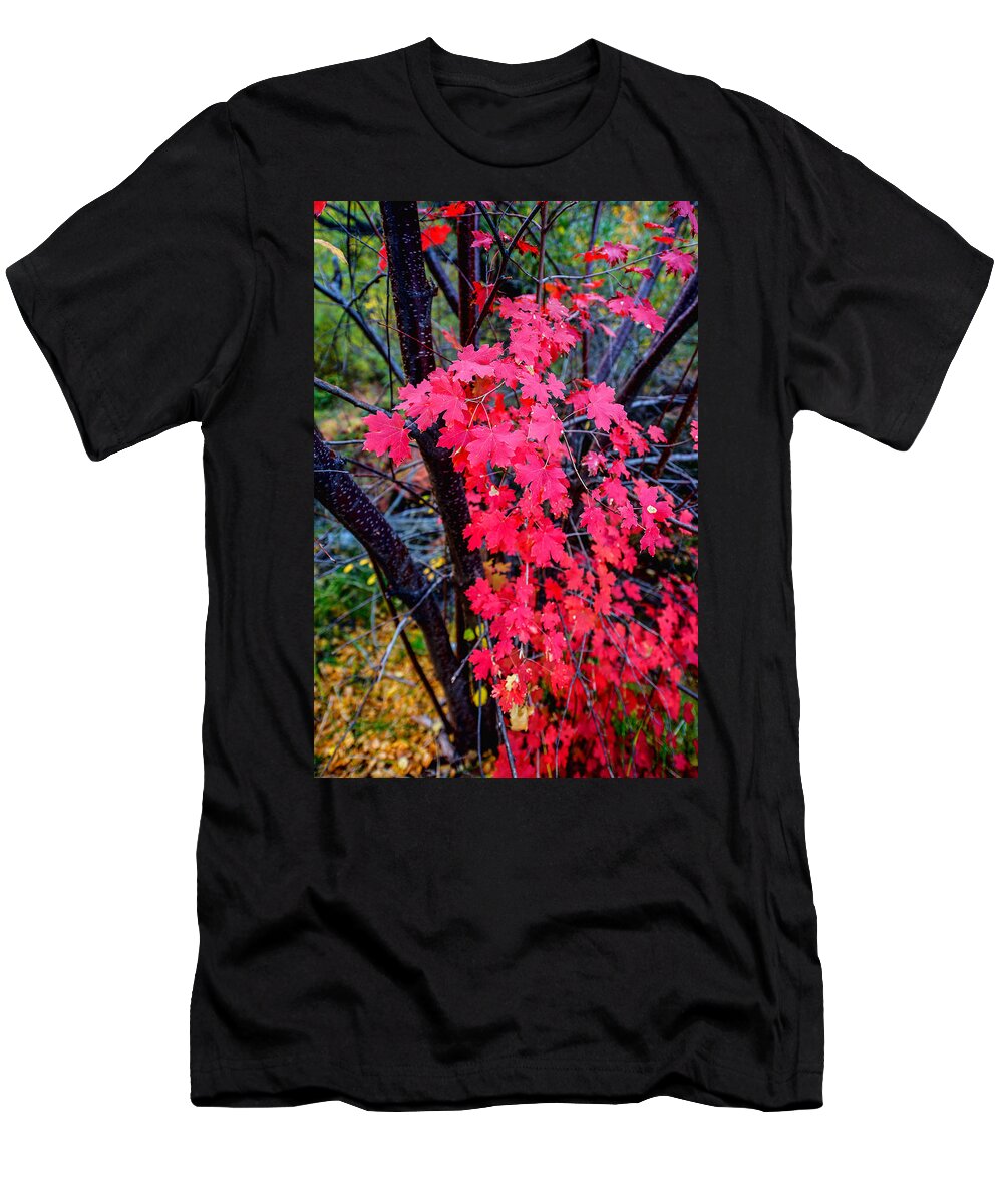 Fall T-Shirt featuring the photograph Southern Fall by Chad Dutson