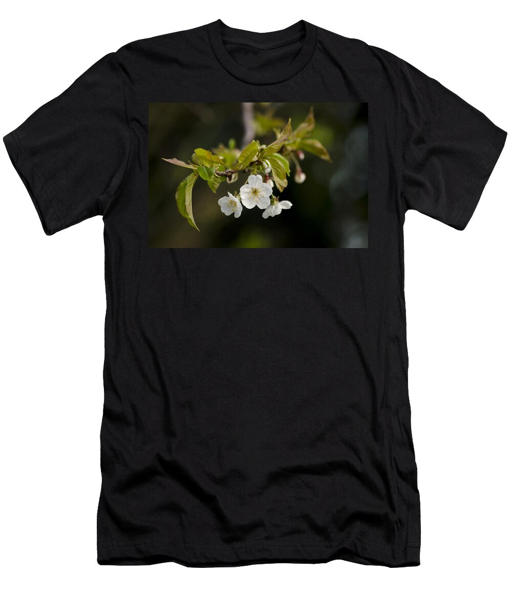 Branch T-Shirt featuring the photograph Spring Blossom by Spikey Mouse Photography