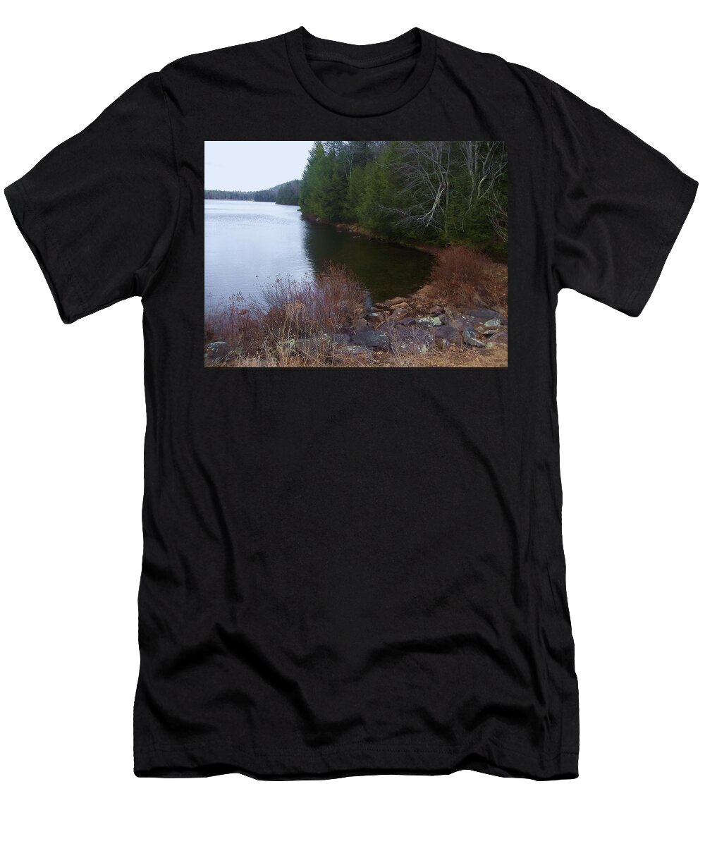 Lake T-Shirt featuring the painting Spring Hike - North/South Lake_ by Ellen Levinson