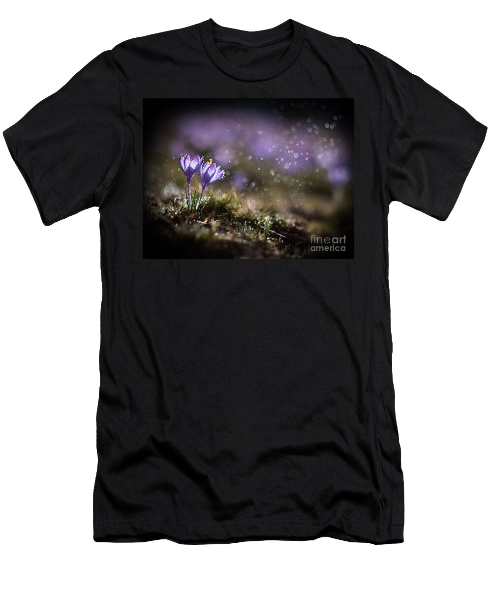 Spring T-Shirt featuring the photograph Spring impression I by Jaroslaw Blaminsky