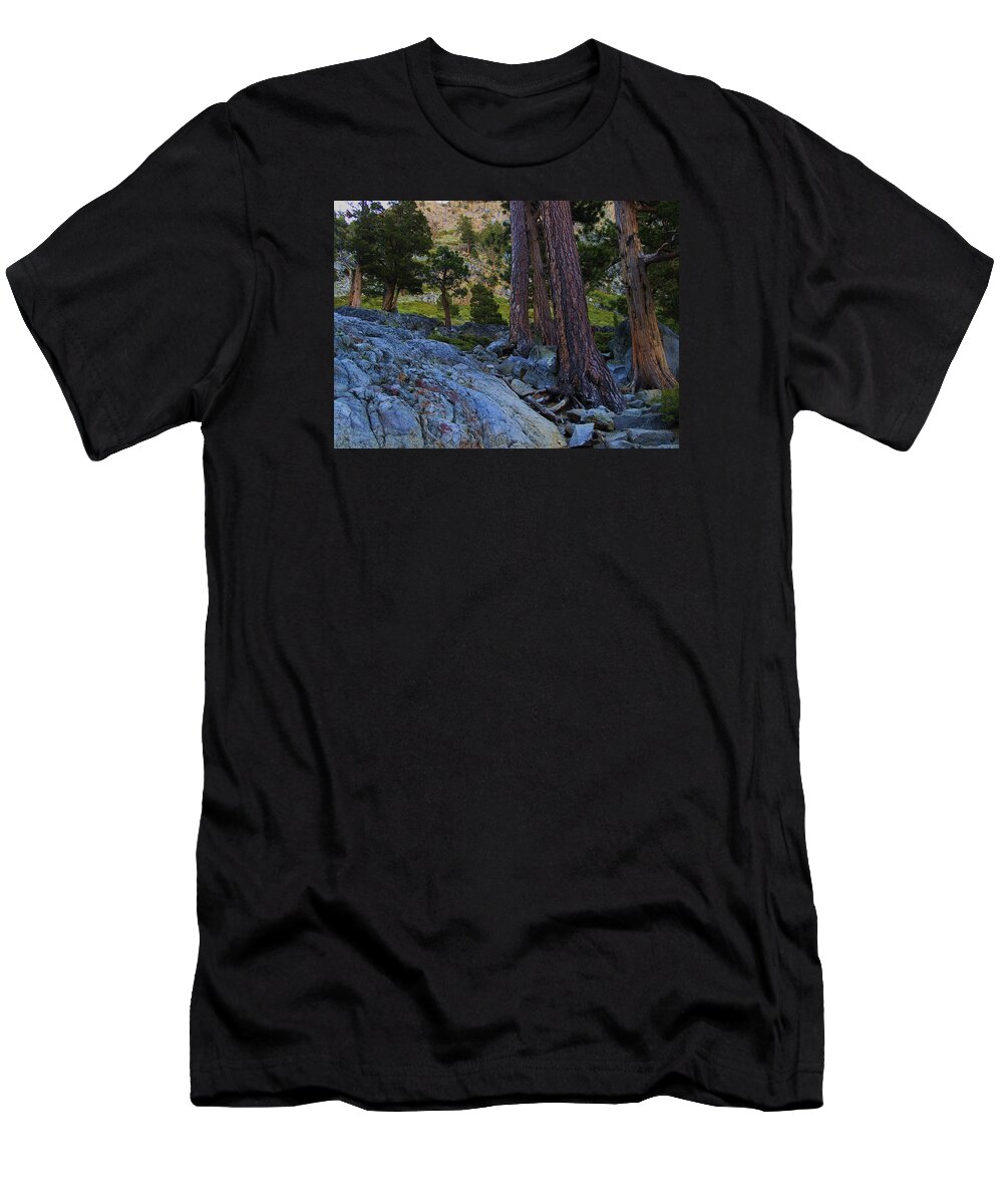 Lake Tahoe T-Shirt featuring the photograph Stairway to Heaven by Sean Sarsfield