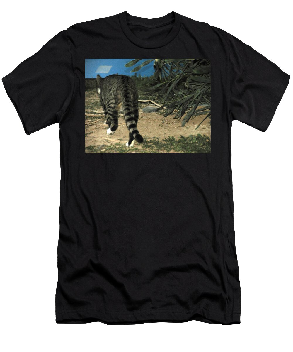 Stalker T-Shirt featuring the photograph Stalker by Anita Dale Livaditis