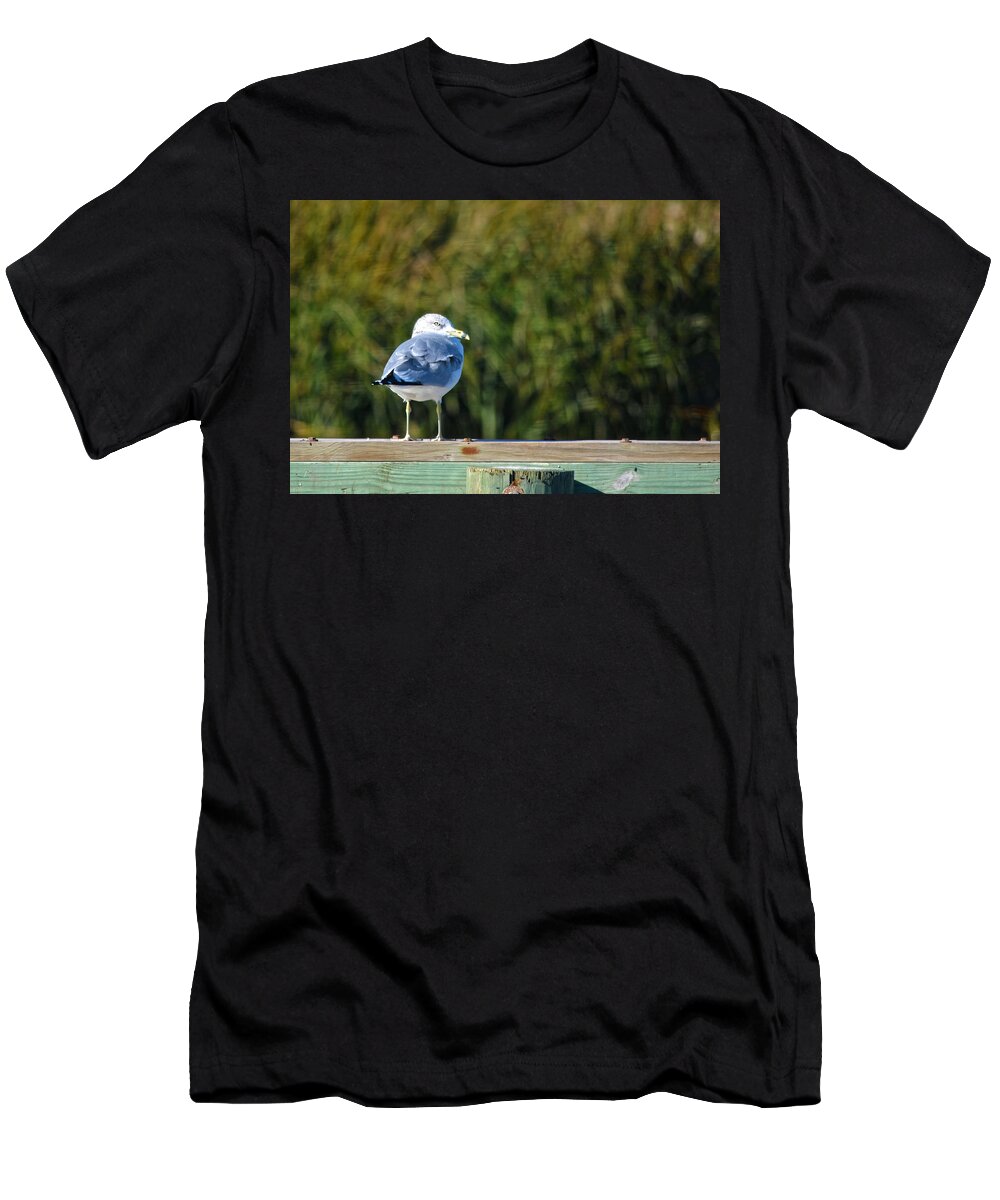 Seagull T-Shirt featuring the photograph Standing Watch by Sandi OReilly
