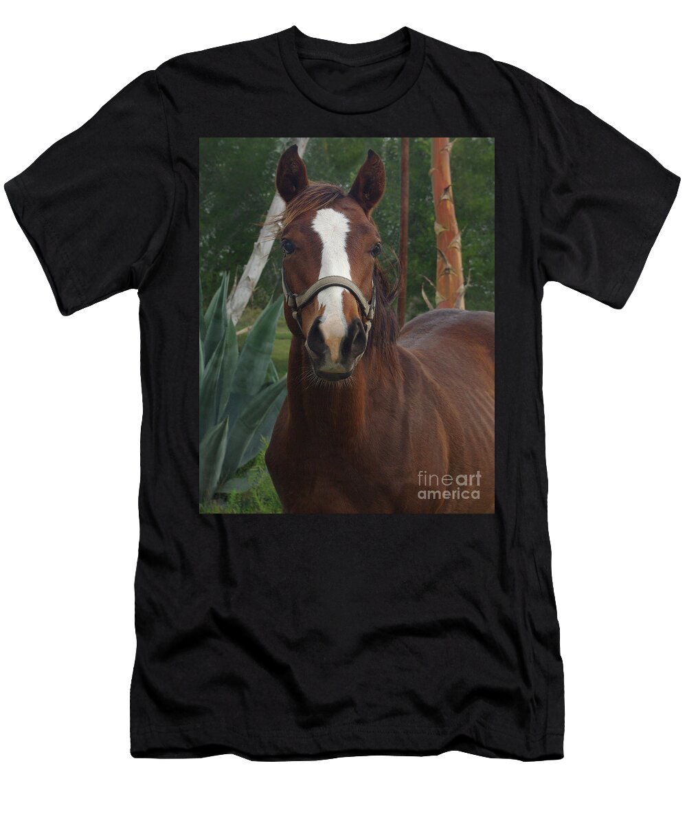 The Stare Down T-Shirt featuring the photograph Stared Down by Peter Piatt