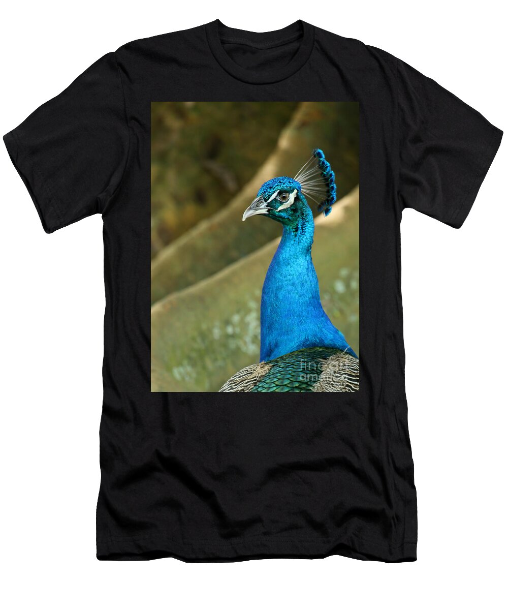 Animal T-Shirt featuring the photograph Stoic Peacock by Sabrina L Ryan