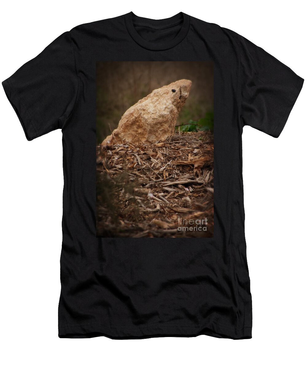 Animals And Earth T-Shirt featuring the photograph Stoned Nature by Doc Braham