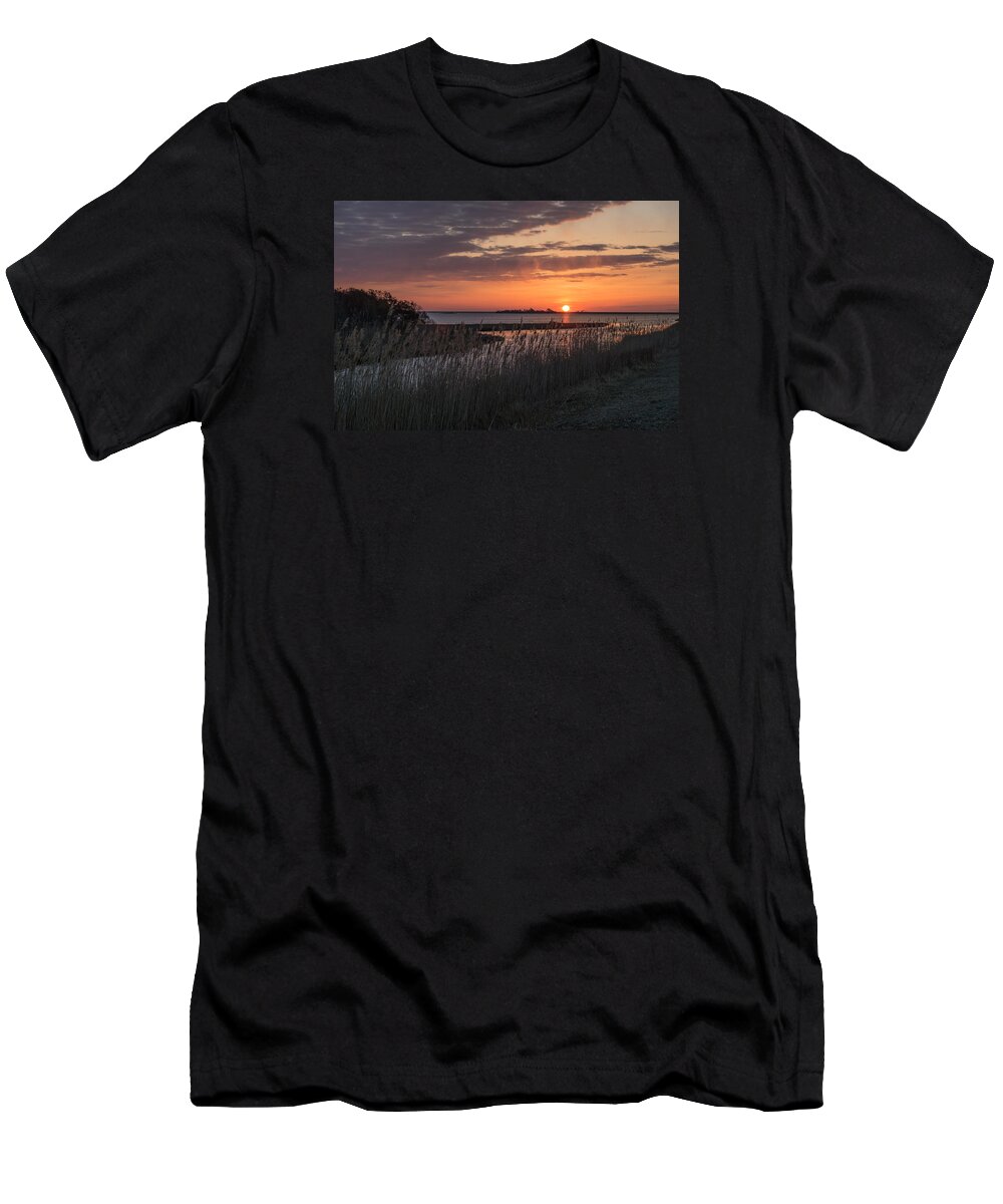 Assateague T-Shirt featuring the photograph Sun over Reeds by Photographic Arts And Design Studio