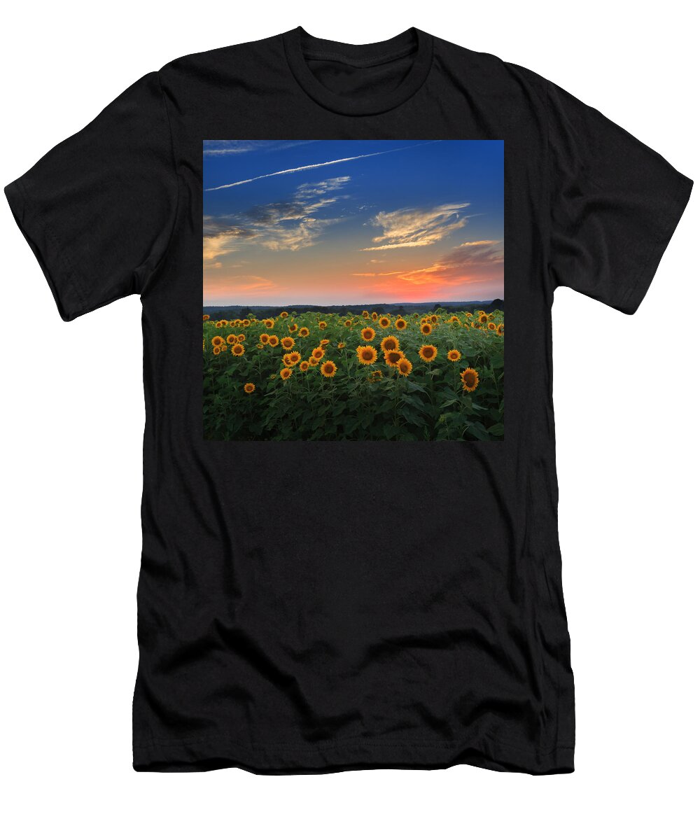 Sunflower T-Shirt featuring the photograph Sunflowers in the evening by Bill Wakeley