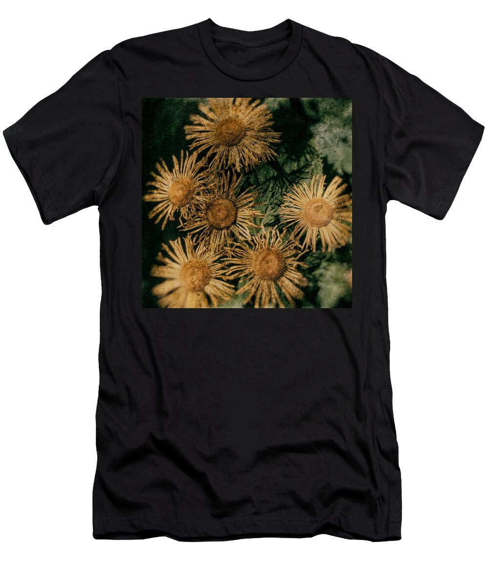Nostalgia T-Shirt featuring the photograph Sunflowers by Nigel R Bell