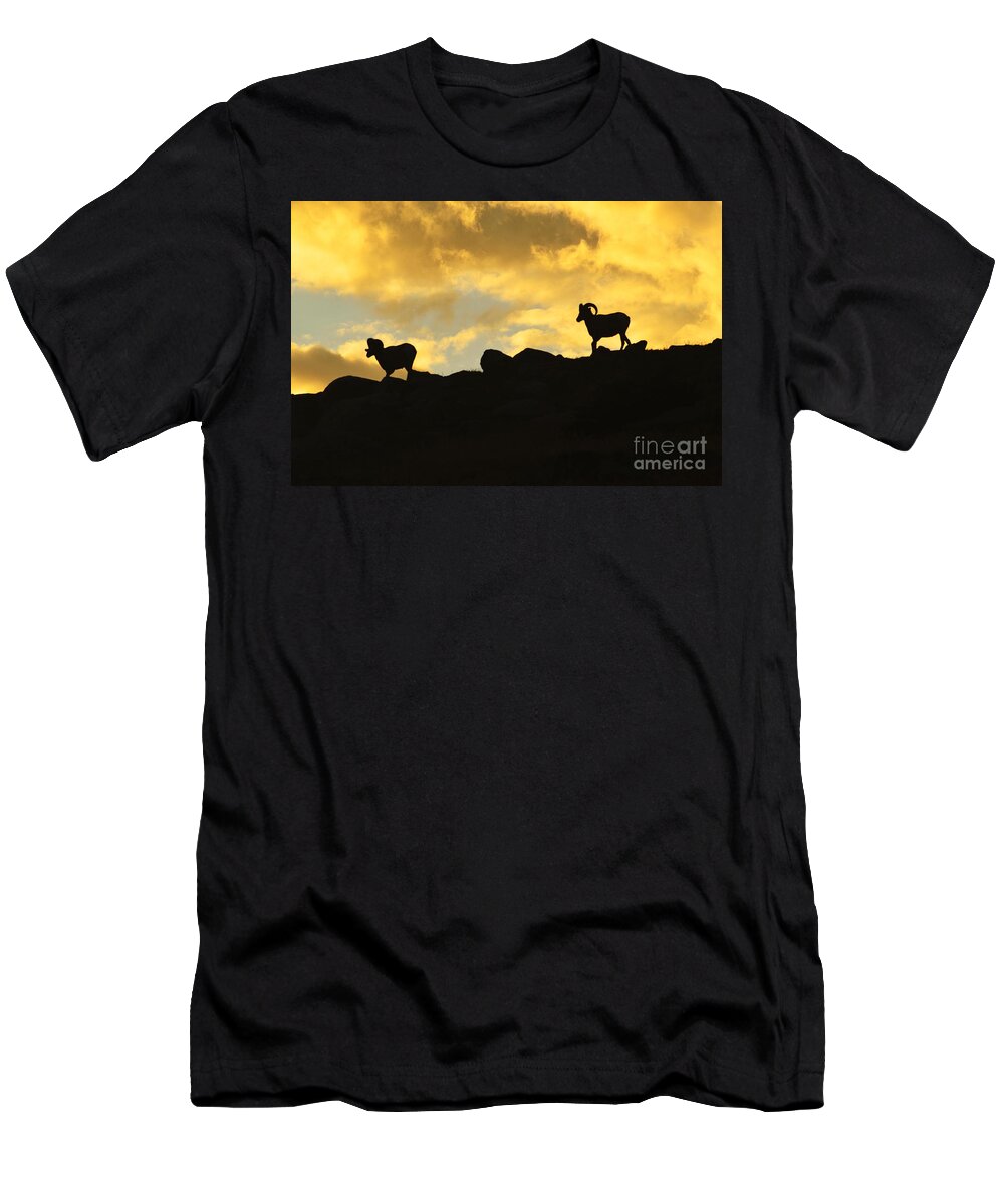 Landscape T-Shirt featuring the photograph Sunset Walk by Sean Jungo 