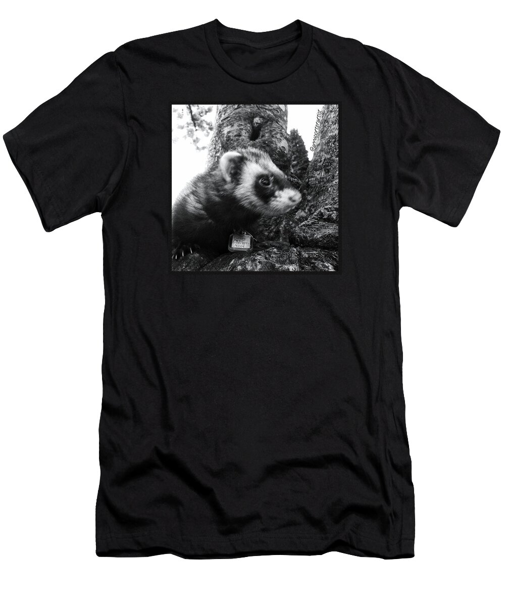 Sweet Little Nicky Chillin In A Tree T-Shirt featuring the photograph Sweet Little Nicky Chillin in a Tree by Anna Porter