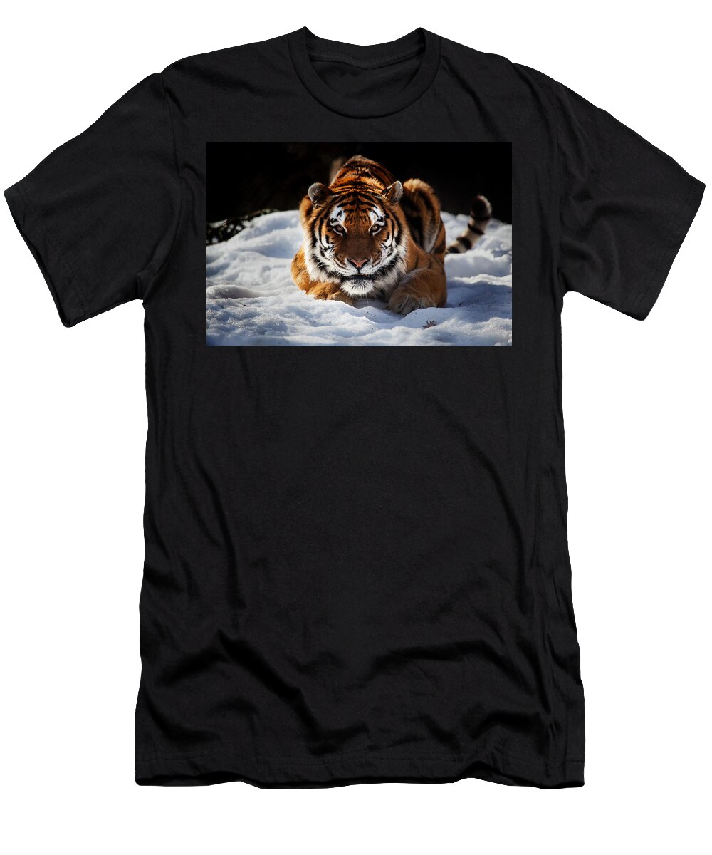 Tiger T-Shirt featuring the photograph The Amur Tiger by Karol Livote