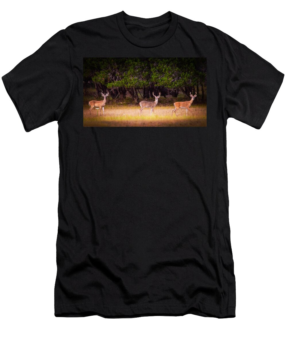 Texas T-Shirt featuring the photograph The Boys Brigade by Lynn Bauer