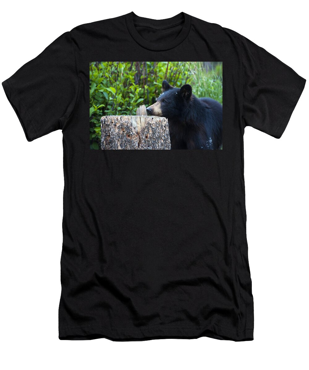 Black Bear T-Shirt featuring the photograph The Cub that Came for Lunch 1 by Matt Swinden