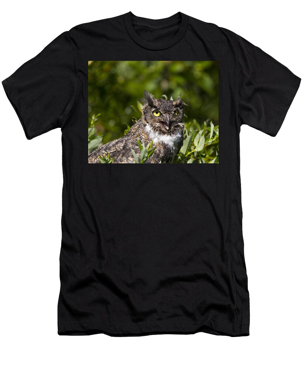 Doug Lloyd T-Shirt featuring the photograph The Eyes Have It by Doug Lloyd
