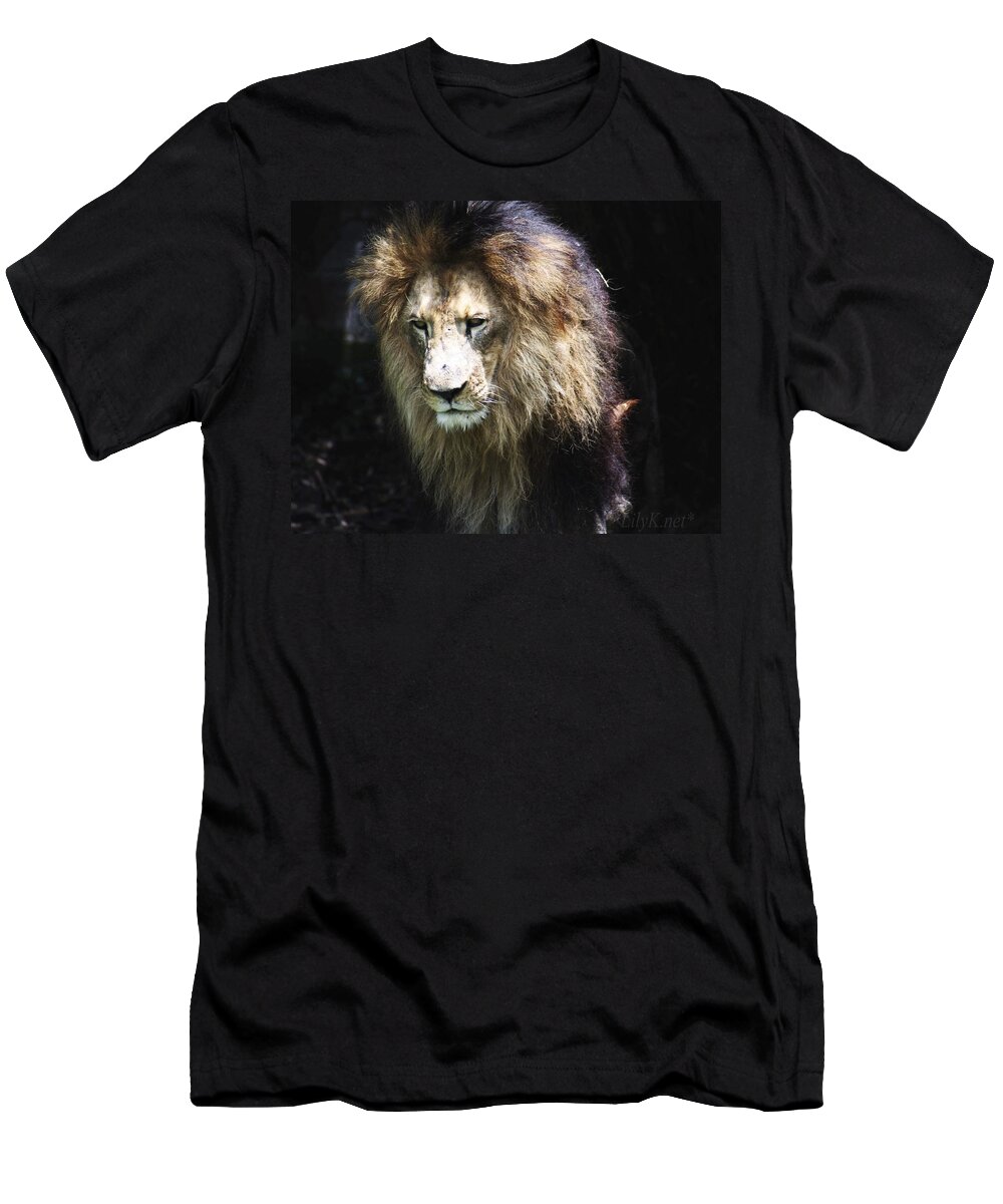 Leon T-Shirt featuring the photograph The king in the shadows by Lily K