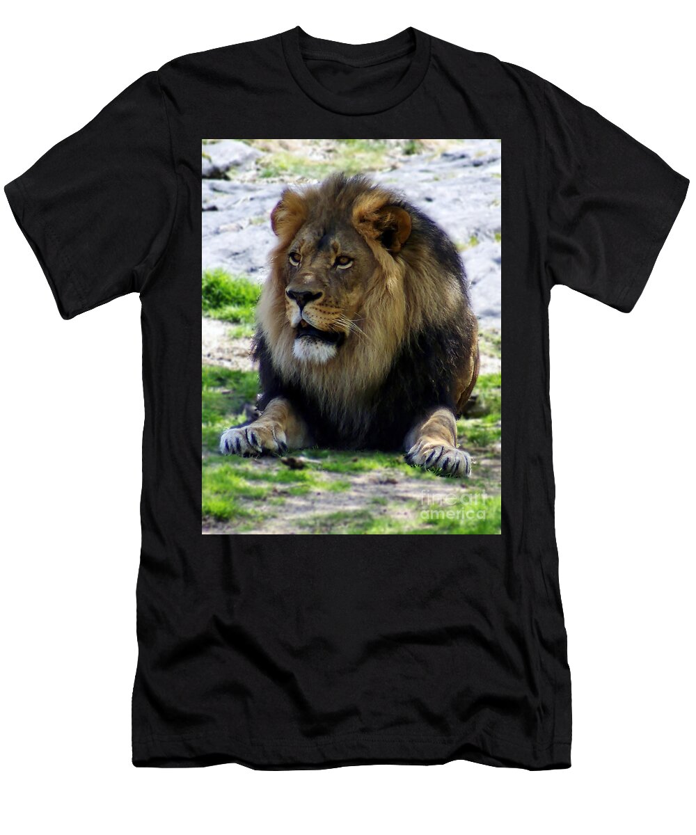  Lion T-Shirt featuring the photograph The Lion's Share by M Three Photos