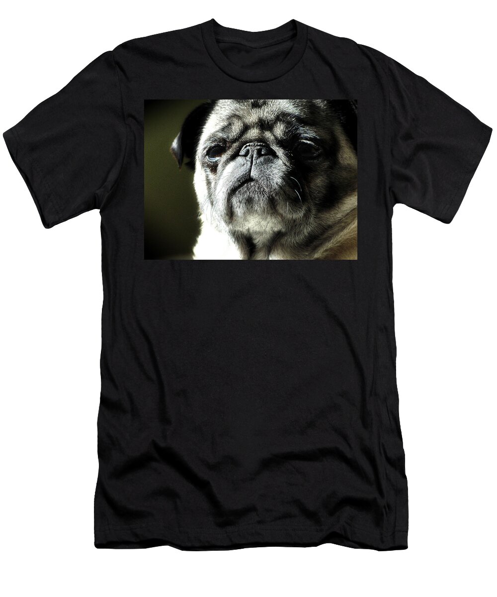 Dog T-Shirt featuring the photograph The Matriarch by Michael Eingle