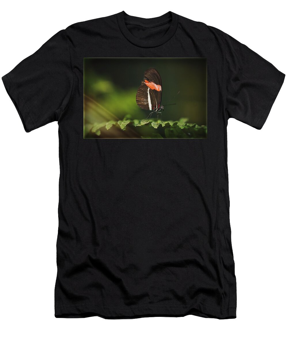Postman Butterfly T-Shirt featuring the photograph The Simplicity of Nature by Saija Lehtonen