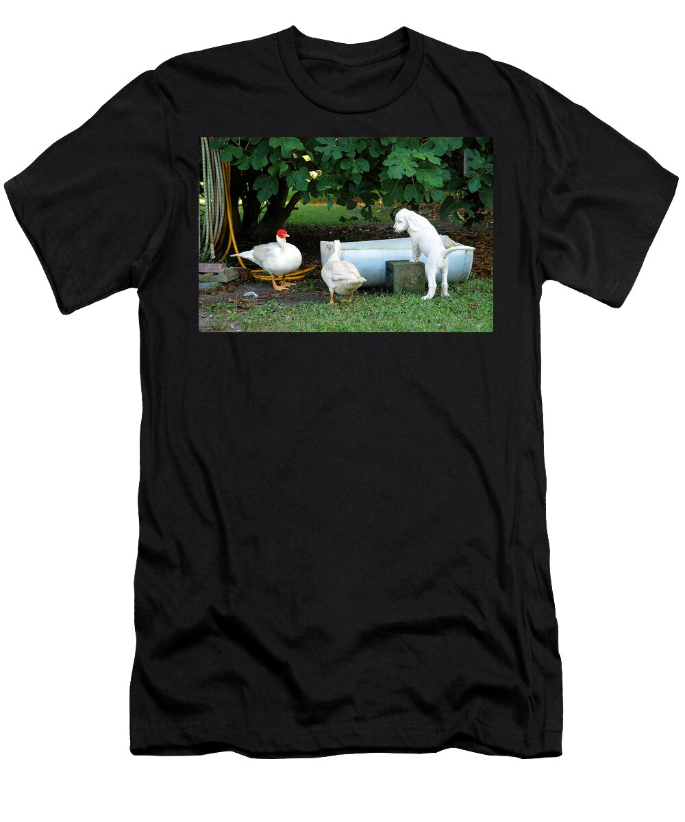 English Setter T-Shirt featuring the photograph The Watering Hole by Scott Hansen
