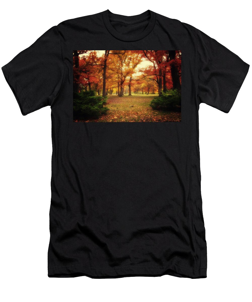 Autumn T-Shirt featuring the photograph Then The Morning Comes 03 by Thomas Woolworth