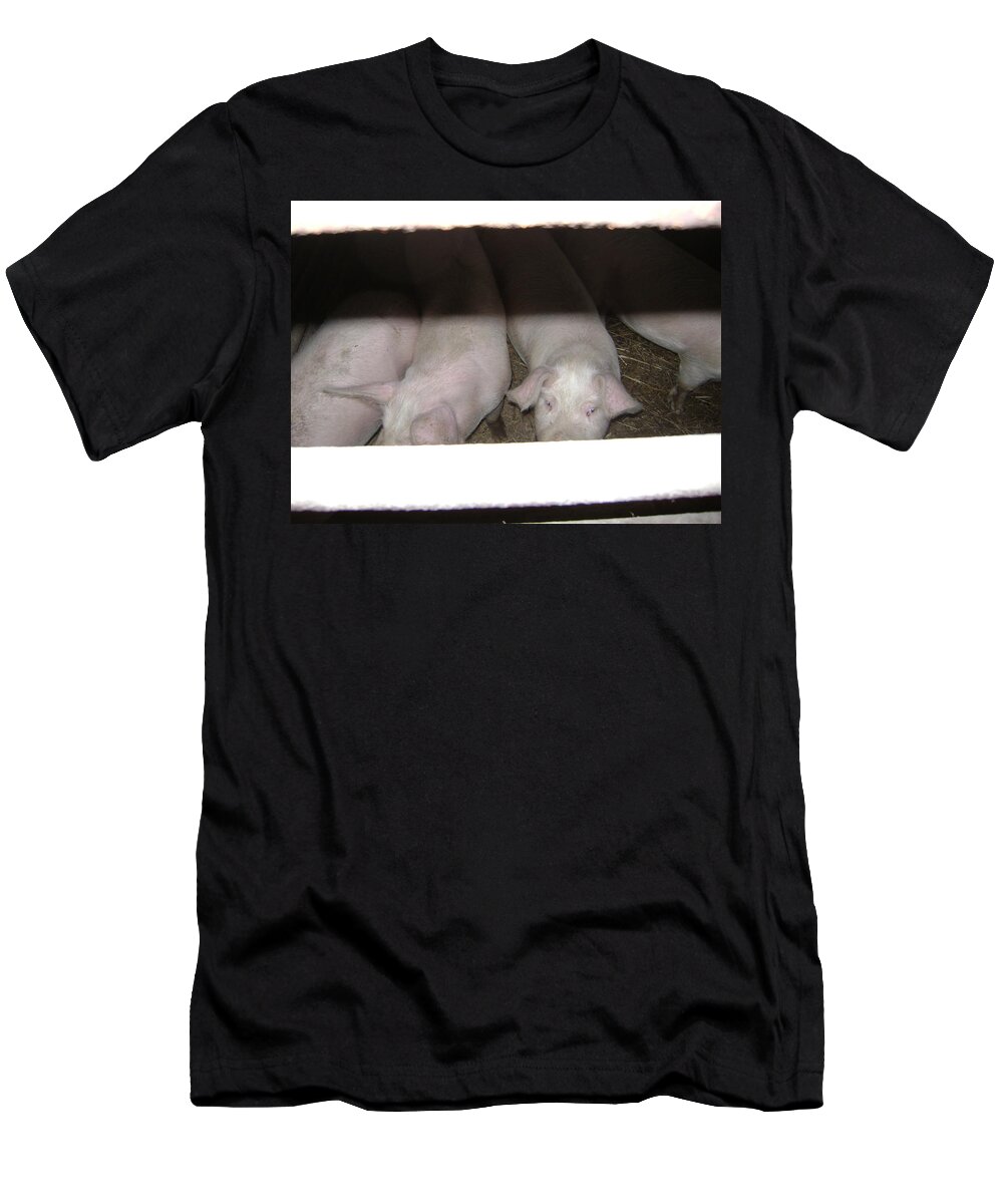 Pigs T-Shirt featuring the photograph These Eyes by Moshe Harboun