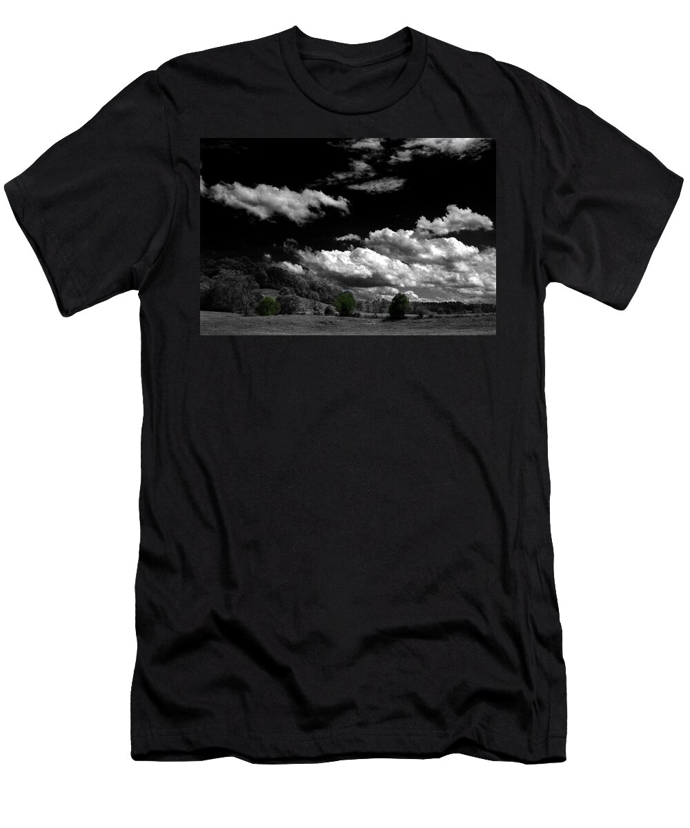 Trees T-Shirt featuring the photograph Three Green Trees by David Yocum