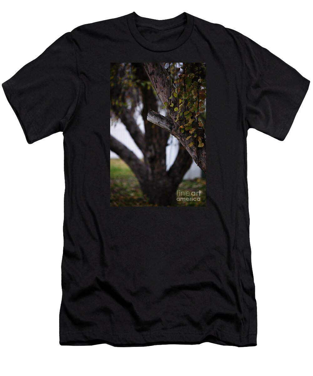 Autumn T-Shirt featuring the photograph Through Autumn's Past by Linda Shafer