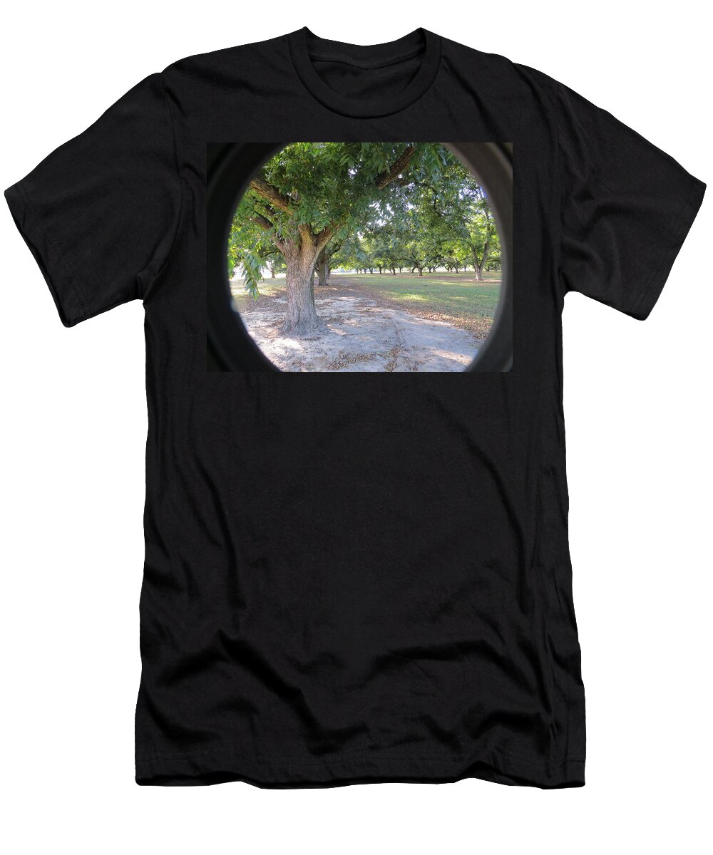 Pecan T-Shirt featuring the photograph Through The Orchard by Aaron Martens