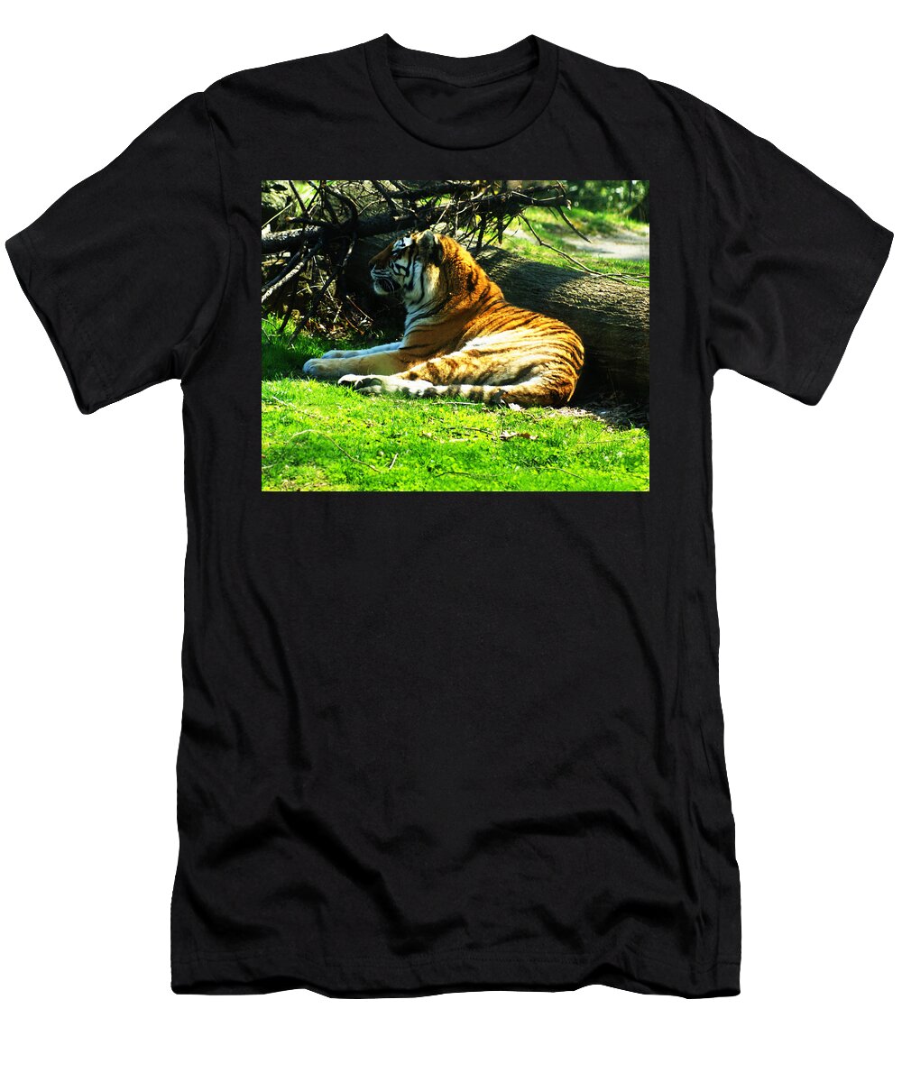 Tiger T-Shirt featuring the photograph Tiger Too by M Three Photos