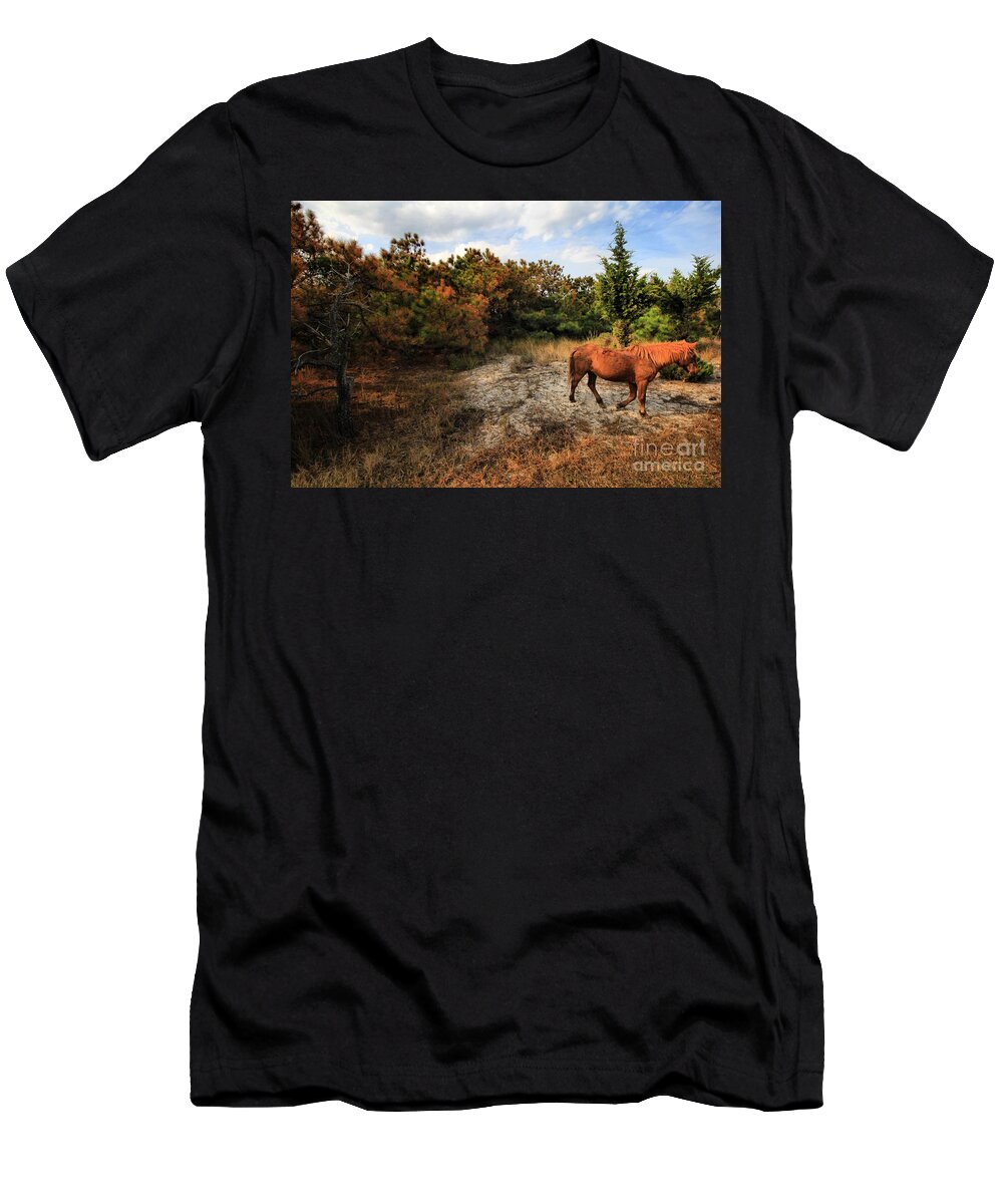 Landscapes T-Shirt featuring the photograph Time Fer Just ME by Robert McCubbin