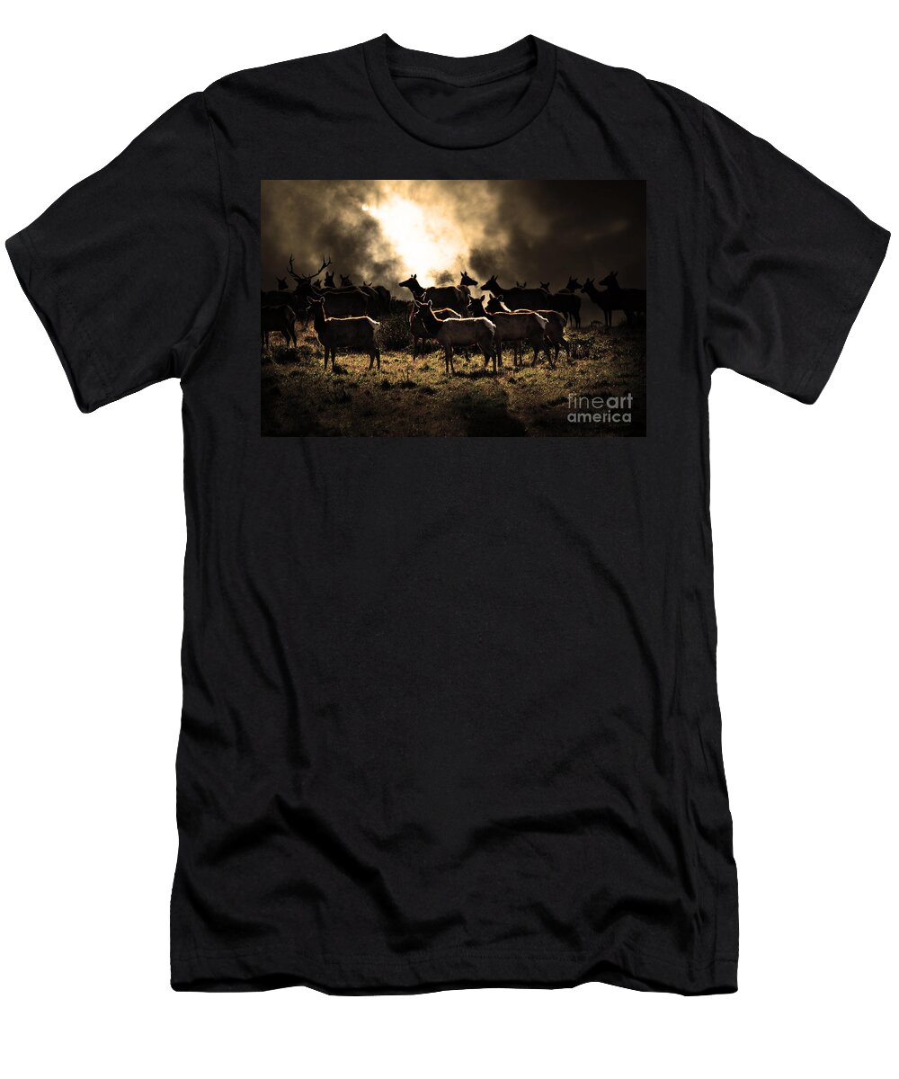 Bayarea T-Shirt featuring the photograph Tomales Bay Harem Under The Midnight Moon - 7D21241 - Sepia by Wingsdomain Art and Photography