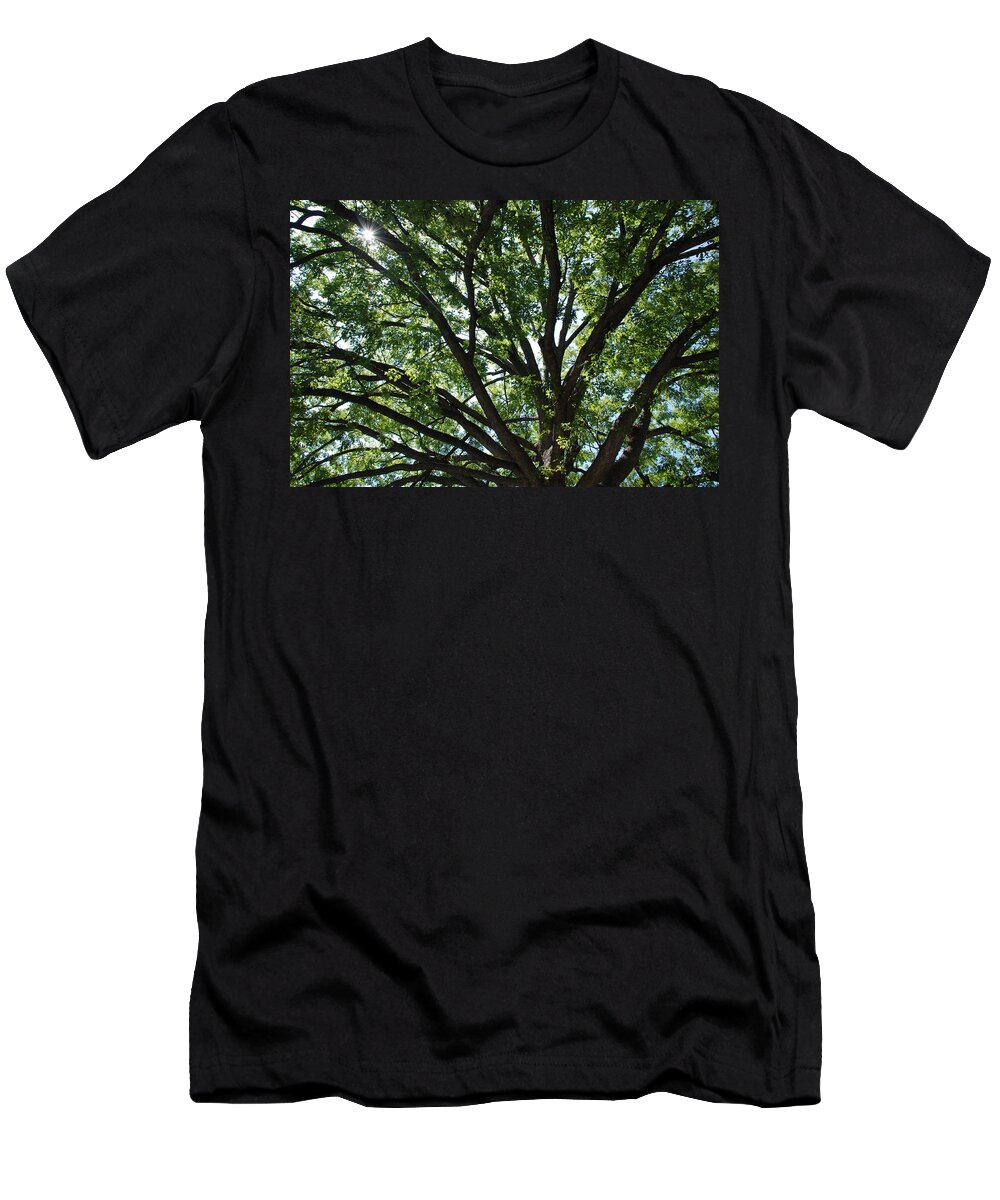 Tree T-Shirt featuring the photograph Tree Canopy Sunburst by Kenny Glover