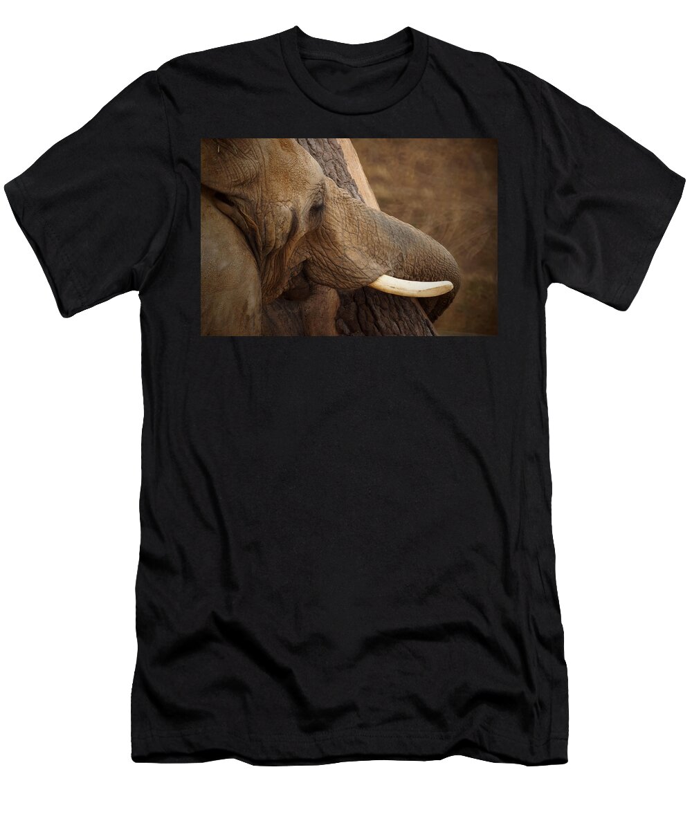 Tree Hugging Elephant T-Shirt featuring the photograph Tree Hugging Elephant by Ernest Echols