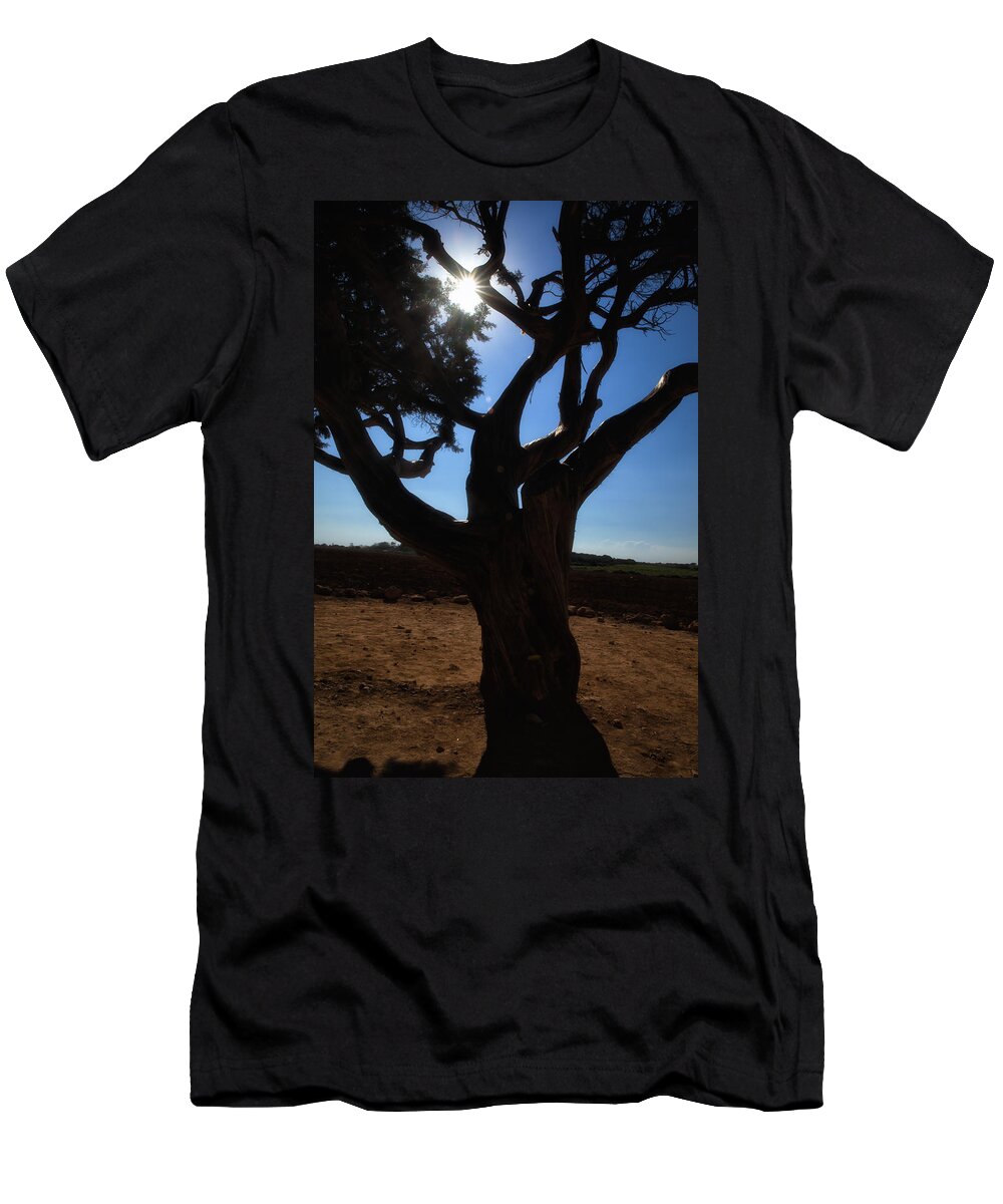 Tree T-Shirt featuring the photograph Tree silhouette by Mike Santis