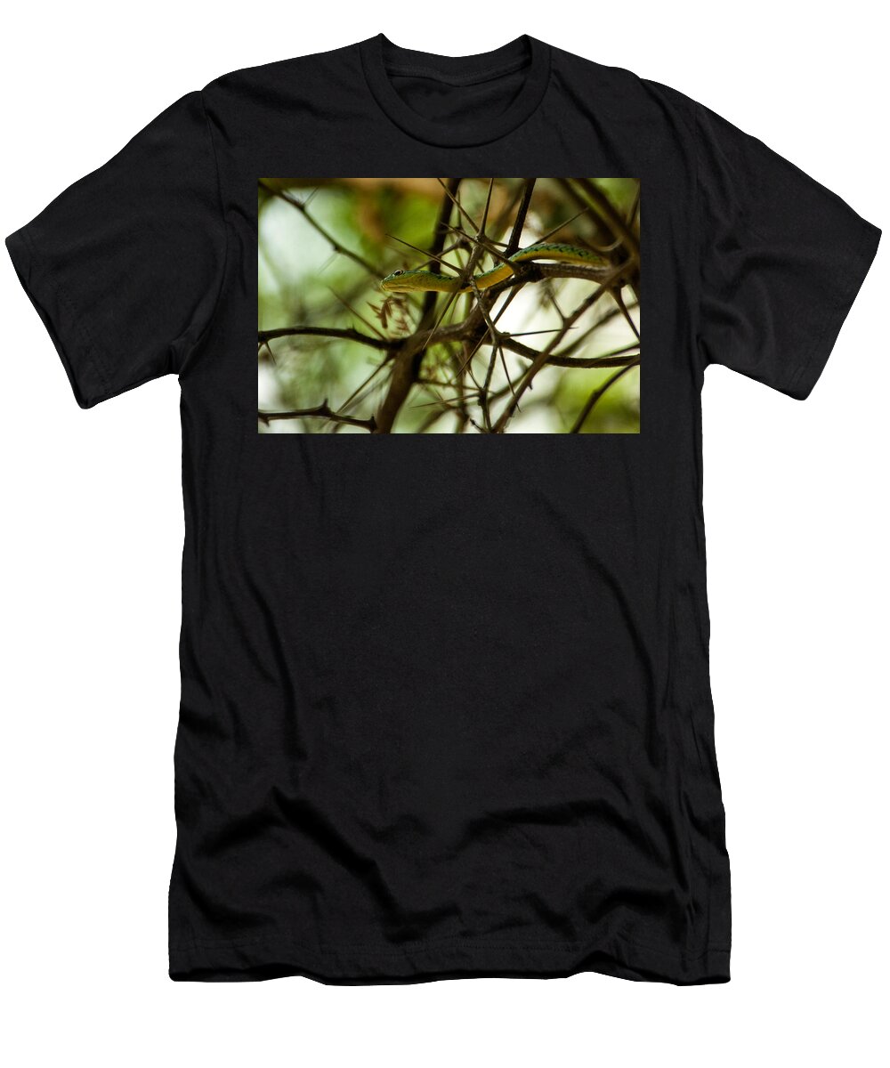Africa T-Shirt featuring the photograph Tree snake 2 by Alistair Lyne