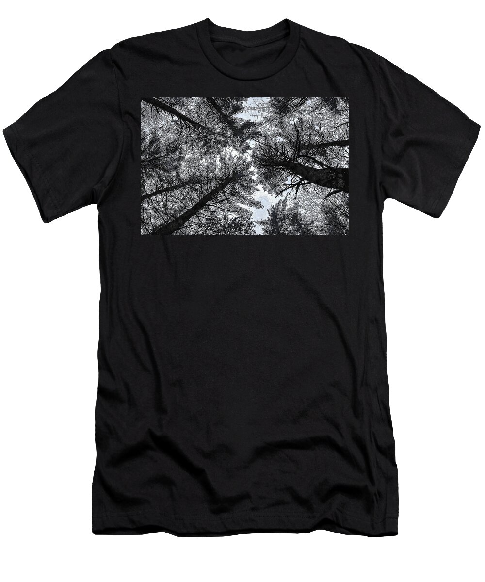 Tree Photographs T-Shirt featuring the photograph Trees in Winter by Phyllis Meinke