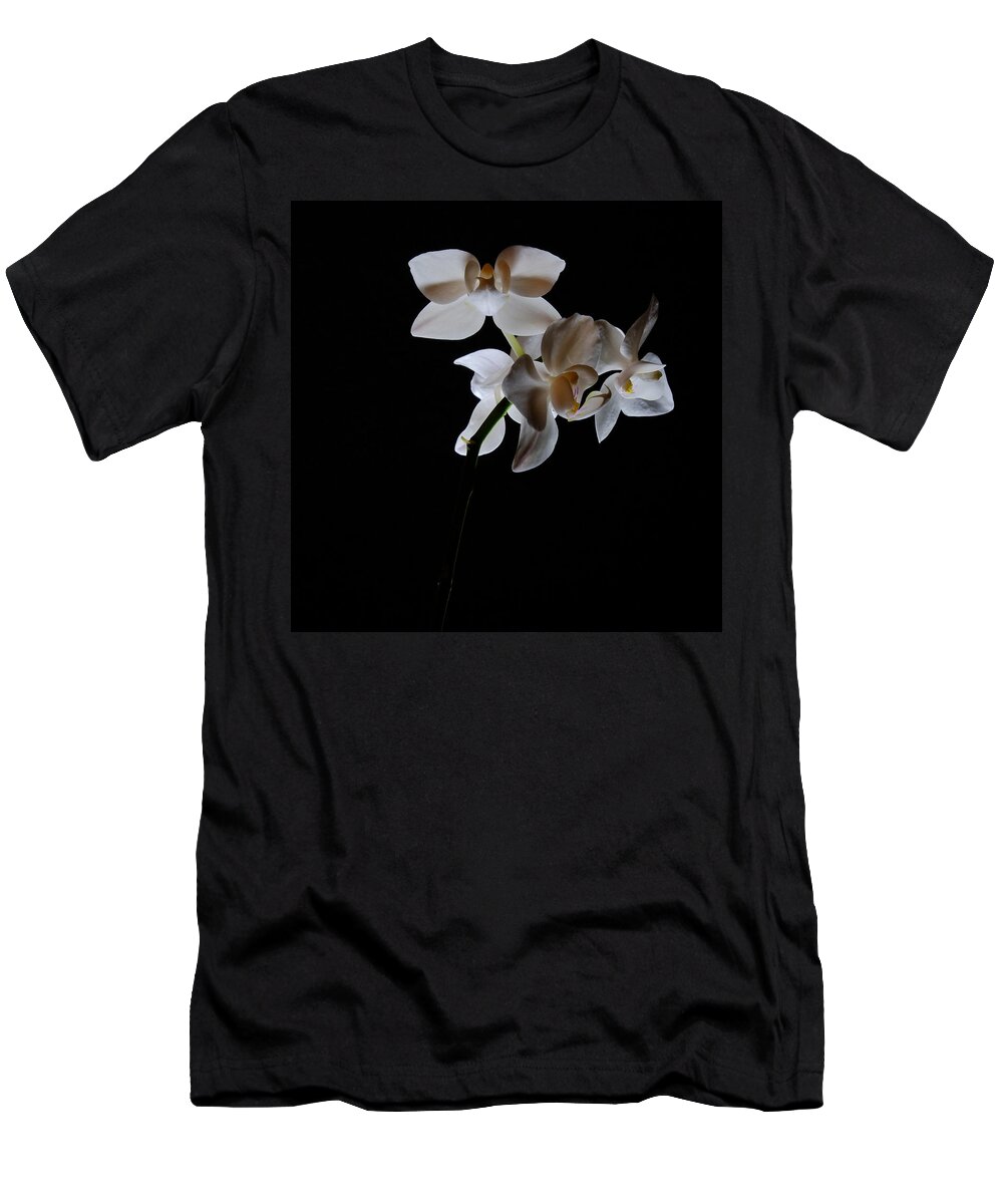 Moth Orchids T-Shirt featuring the photograph Triplets II Color by Ron White