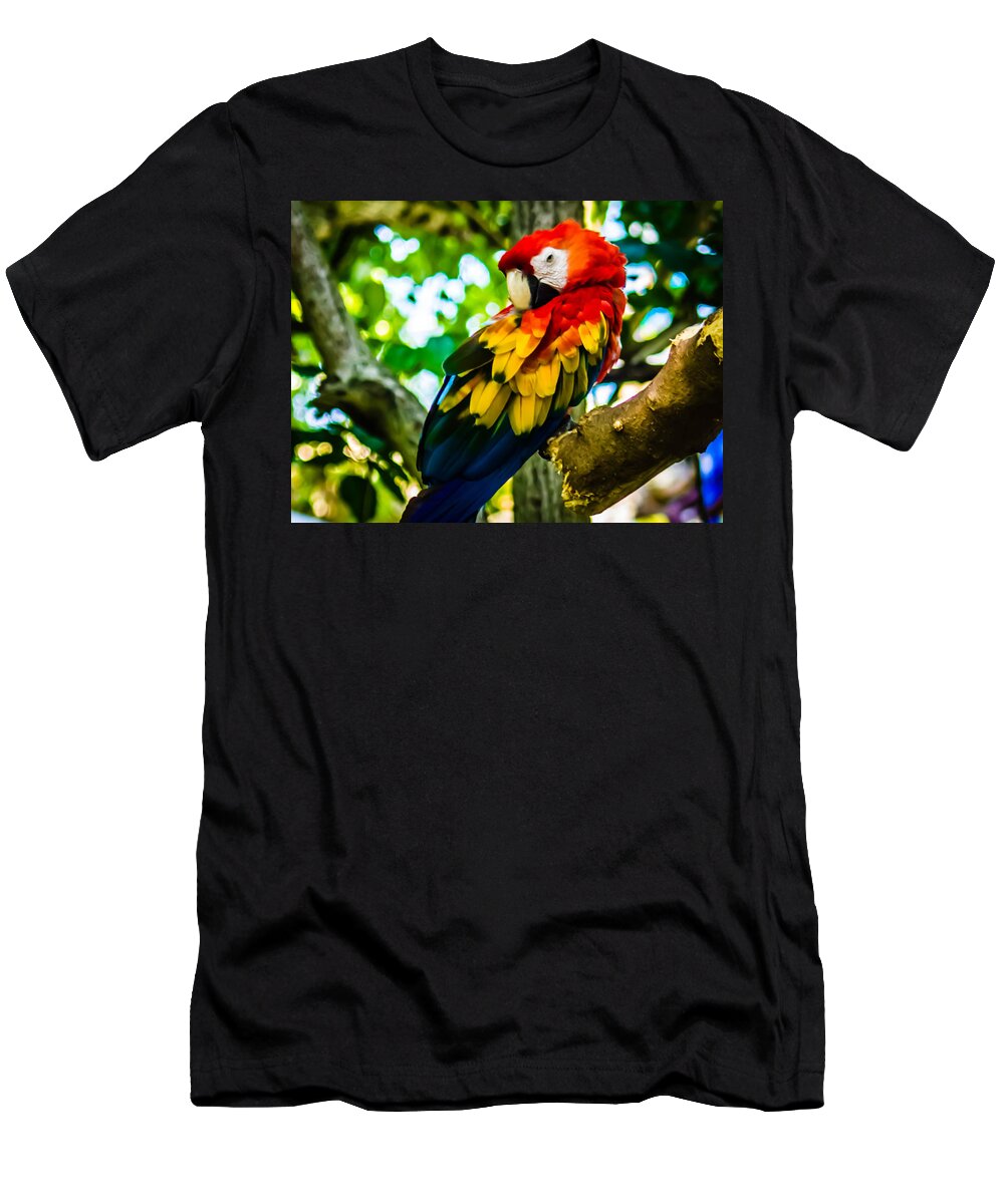 Tropical T-Shirt featuring the photograph Tropical Bird by Sara Frank