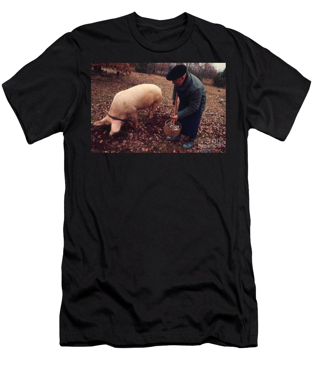 French T-Shirt featuring the photograph Truffle Hunting by J.N. Reichel/Rapho Agence