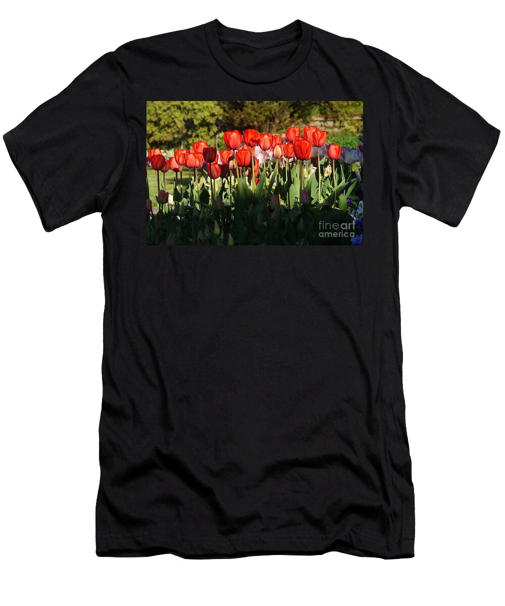 Nature T-Shirt featuring the photograph Tulip Field 2 by Rudi Prott
