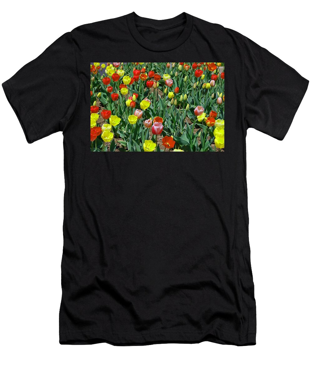 Tulip T-Shirt featuring the photograph Tulip Patch by Aimee L Maher ALM GALLERY